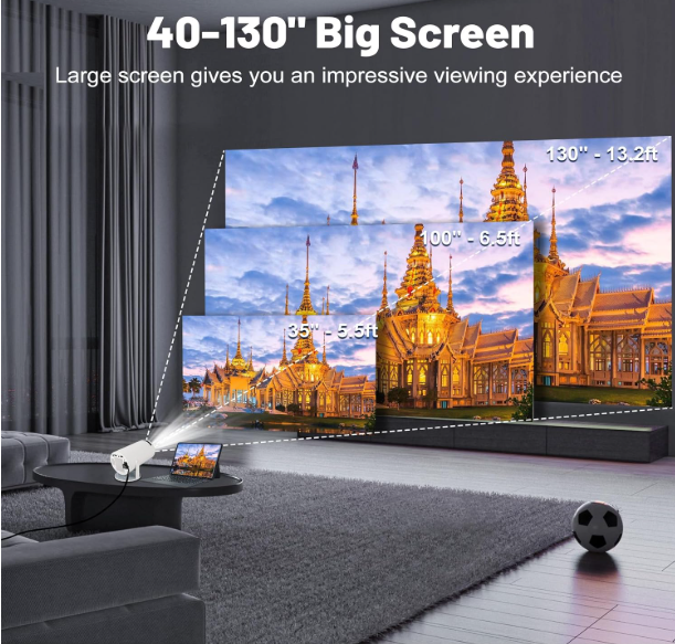 Projector Screen & Stand